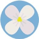 Dogwood Autism Services